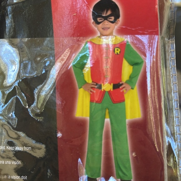 Robin from Batman - Picture 3 of 4